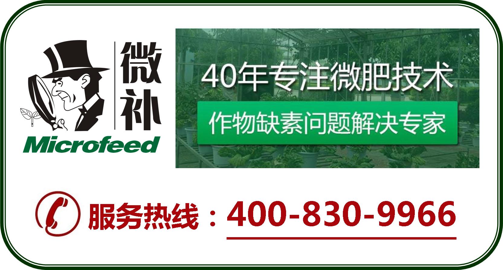 余教授德國鄉村行：摩澤爾河的葡萄魅力在哪兒？