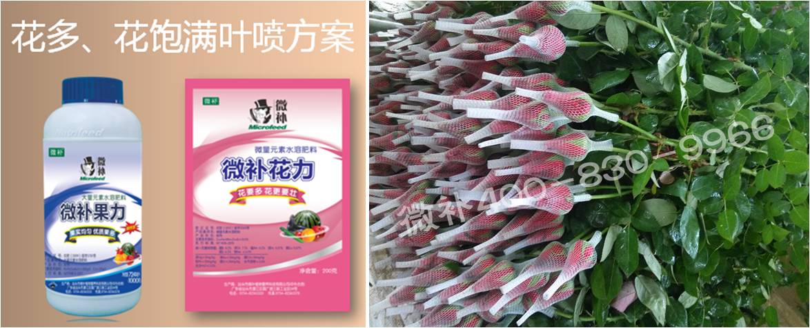 花卉也需要微補嗎？
